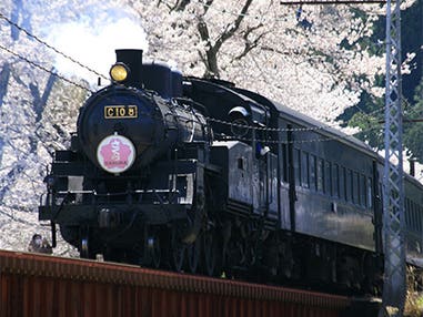 中部発 日帰り SL・EL・普通列車 3車種乗車!大井川鐵道 さくら列車 満喫の旅!