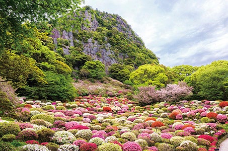 ＜極＞船でしか行けない秘境の食堂「魚山人」と長崎とらふぐ 名旅館・クラシカルホテルで寛ぐ雲仙・嬉野温泉3日間　【各出発日最大18名限定】3ヶ月先まで予約満席の超人気店と養殖生産量日本一のとらふぐ2