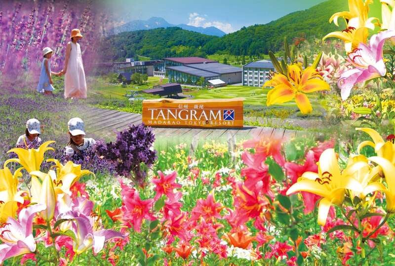 【高崎駅発】 ＜WEB予約・カード決済限定 入湯税は現地払い＞【列車＋ホテル】信州斑尾高原リゾート　ホテルタングラム２日間1