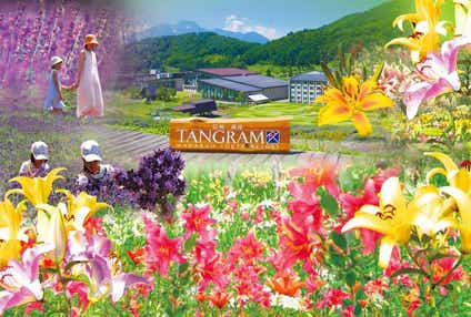 【高崎駅発】 ＜WEB予約・カード決済限定 入湯税は現地払い＞【列車＋ホテル】信州斑尾高原リゾート　ホテルタングラム２日間