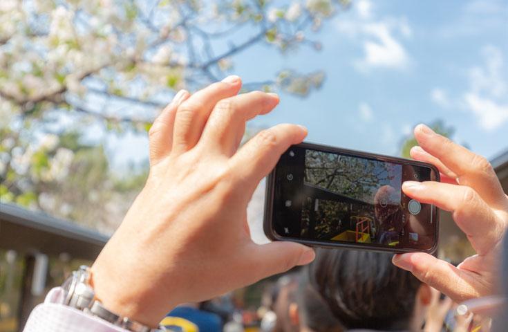 オープントップバスで行く『TOKYOお花見バス』 都内の桜の名所をハイライトで巡る車窓観光ショートトリップ！(12:10出発)2