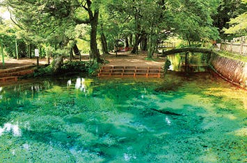 【岡山駅発着】阪急交通社貸切チャーター船から海峡の夜空を彩る花火を見上げる 第39回関門海峡花火大会2日間　～＜阪急交通社＞貸切チャーター船でご案内～