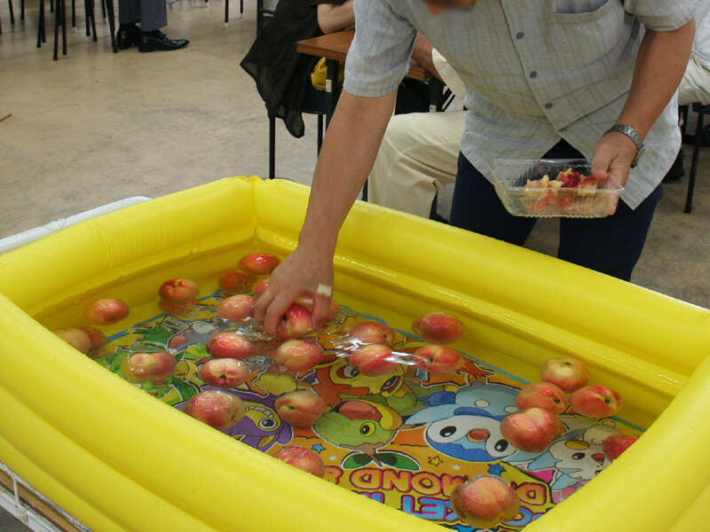 【富山県内発】 信州もも尽くしと野尻湖遊覧船2