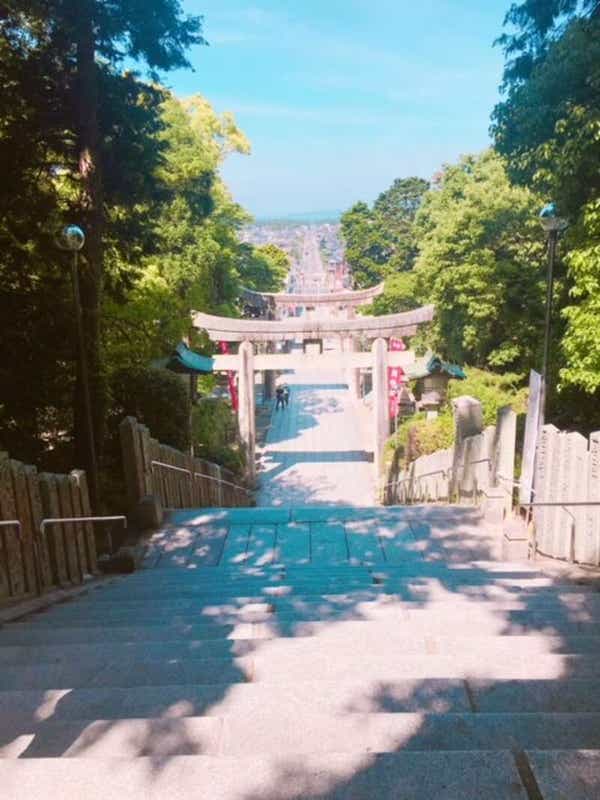 【岩国・玖珂発】 ぶどうの樹de“そよ風らんち”と宮地嶽神社＆宗像大社　日帰り3