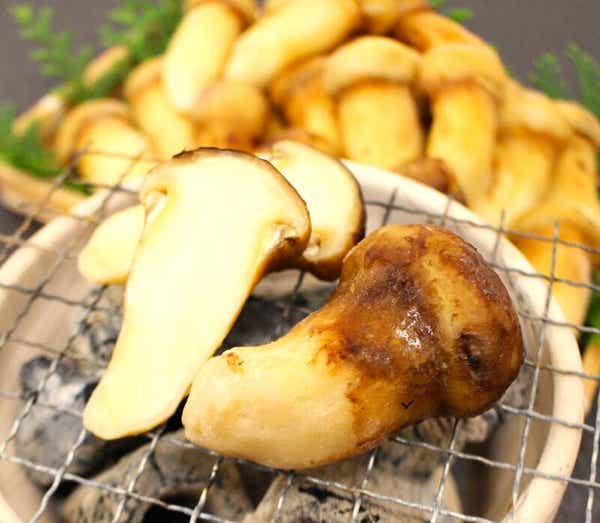 【神奈川県内・町田発】 旬の松茸＆海の高級食材「イセエビ・アワビ・ズワイガニ」の炭火焼き海鮮BBQ食べ放題と南房総道の駅めぐり日帰り2