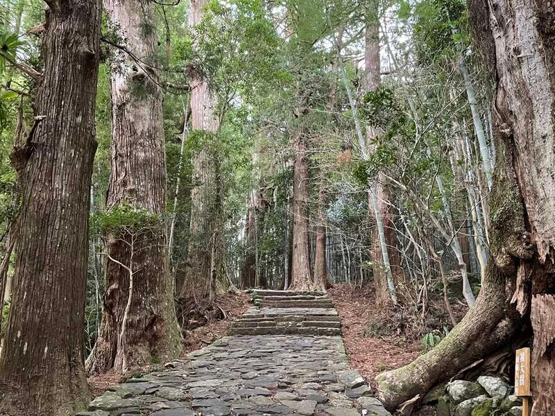 【山口県内発】 団体貸切列車「特急パンダくろしお号」利用！那智山と 選べるホテル＆世界遺産観光　南紀勝浦温泉　2日間1