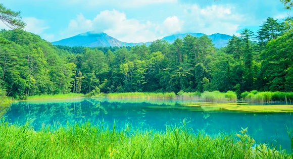 ＜新宿発・西船橋発＞ 天空の絶景ドライブ！磐梯吾妻スカイライン・浄土平 と 新緑の裏磐梯・神秘の五色沼ハイキング　そして、喜多方・鶴ヶ城・大内宿　ぐるーり会津大周遊 ２日間【1名参加ok】1