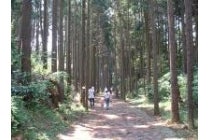 【春日井車庫・小牧発】＊日帰り軽食弁当付＊Ｌｅｔ’ｓハイキング！富士山絶景スポット！三島スカイウォーク渡橋券付！『山中城跡から三島スカイウォークを歩こう』3