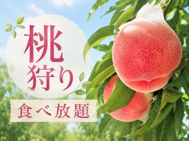 ■【静岡・山梨】はじける夏旅！まるごとマンゴー1玉狩り＆桃狩り食べ放題！スタミナ満点★うなぎ御膳！富士の麓に広がる夏色の楽園「花の都公園」へ♪2