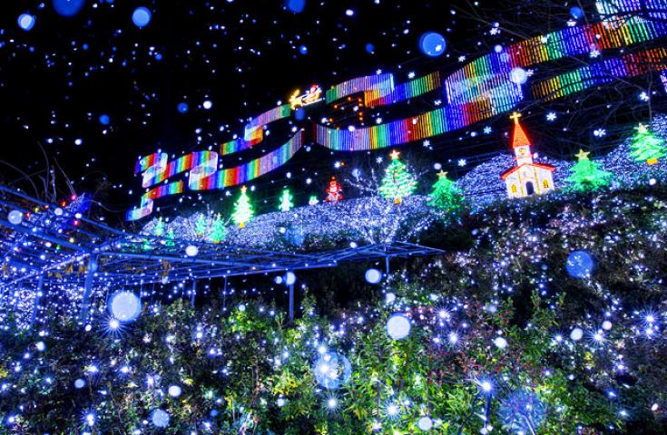 【新宿発】初物「いちご狩り」栃木ブランド品種が30分食べ放題！！光り輝く「あしかがフラワーパーク」イルミネーション＆おかしパークで「みかもの月」詰め放題も満喫★　日帰りバスツアー3