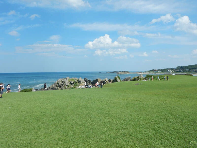 【岩手県内発】 南部町名川さくらんぼ狩りと種差海岸　日帰り3