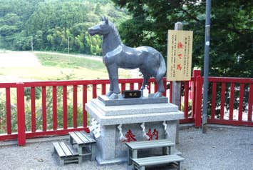 【仙台エリア発】 12年に一度の午年御縁年！ 早馬神社初詣とまるごと気仙沼