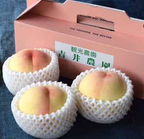 【京滋エリア発】 白桃お持ち帰り付き!おかやま白桃祭 日帰り