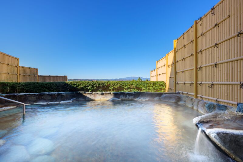 【山形県内発】 復活伝統芸能「●●芸妓」の舞も観賞！年度末ミステリーツアー　宿泊編　２日間 3