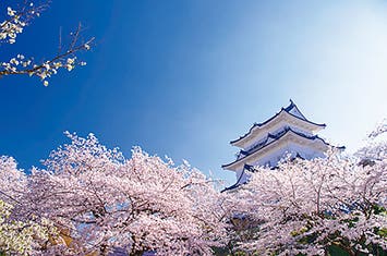 ＜２名様一室利用＞日本100名城めぐり【第１０回】関東　名城めぐり ４日間