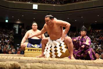 【新千歳空港発】 ≪相撲≫マス席で観戦「大相撲両国五月場所」国会参観・皇居外苑・浅草・東京タワー２日間