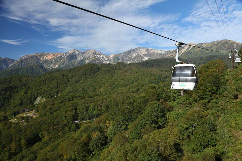 【福井県内発】 標高約1800ｍ！白馬山麓みずばしょうウォークと信州さくらんぼ狩り食べ放題２日間2