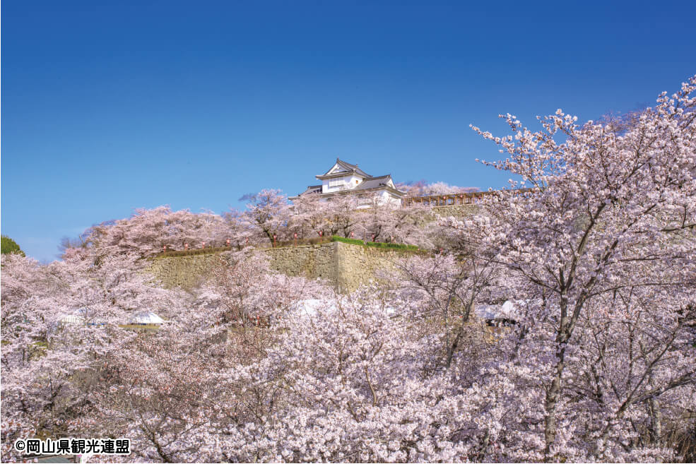 ＜岡山＞津山城・鶴山公園と備前焼登り窯ご見学【明石・西神中央・緑が丘出発】1