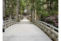 ★１名１室～４名１室のお申込　【名古屋駅発】＊１泊４食付き＊～ＷＥＢ予約限定～『高野三山・女人道トレッキングと旧正御影供・御逮夜法会（きゅうしょうみえくおたいやほうえ）』