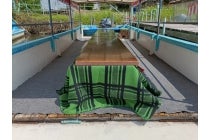 ◎WEB予約でリボンポイント２ポイント◎【木曽川・一宮発】＊日帰り昼食付＊『近江八幡 こたつ舟でめぐる水郷と近江牛ランチ』3