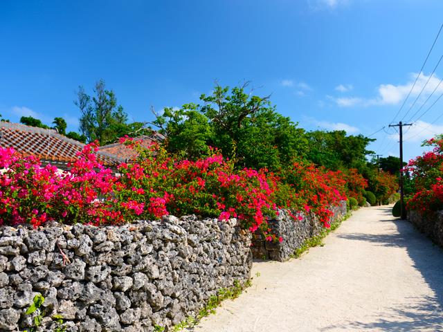 ■2日目　竹富島フリー散策コース付き　石垣島・竹富島・西表島ホテルチョイスプラン　4泊5日1