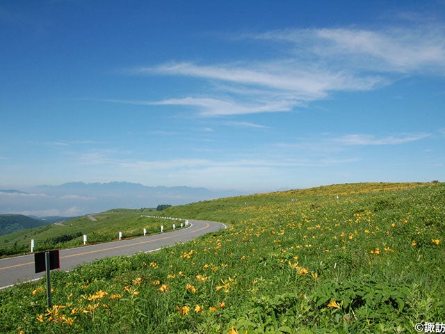 【名古屋発】■２０２６年６月１７日（水）■（個室）釜無ホテイアツモリソウ咲く「入笠山」と初夏の「八島湿原・霧ヶ峰」　１泊２日　♪名鉄の泊りハイキング1