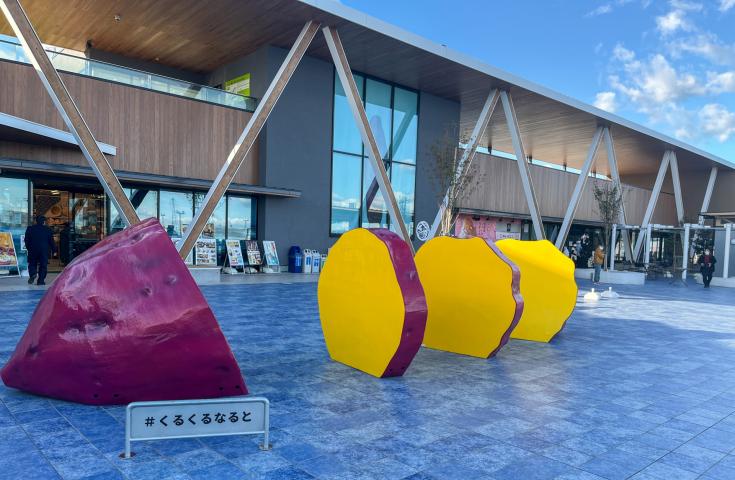 [なんば発]世界三大潮流のダイナミックな「鳴門の渦潮」と阿波おどり会館で阿波おどりを楽しもう！海を望むロケーションやフォトジェニックなスポット盛りだくさんの日帰りツアー！(英語ガイド付)2