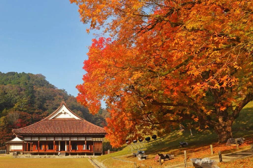 特別史跡「旧閑谷学校」楷の木の紅葉と紅葉に染まる琴弾の滝！山陽・名紅葉めぐりと松茸＆作州黒毛和牛食べ放題【大和八木・橿原神宮発】1