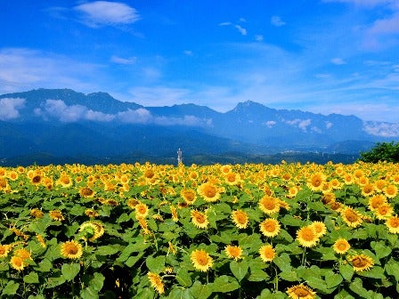 8/15催行決定！西船橋・新宿発　打ち上げ数日本最大級！諏訪湖祭　湖上花火大会＆高原リゾート「軽井沢」を巡る旅＜JAMJAM TOUR＞3