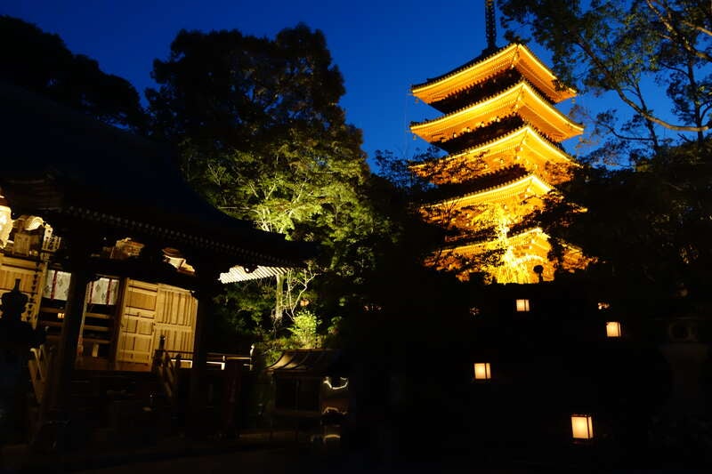 【ＪＲ和歌山駅発】 牧野植物園南園夜間貸切・竹林寺ライトアップと牧野博士ゆかりの地めぐり２日間2