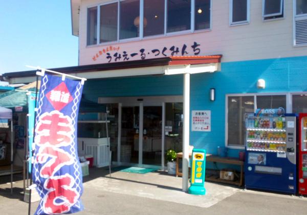 津久見河津桜と四浦海岸絶景ウォーキング3