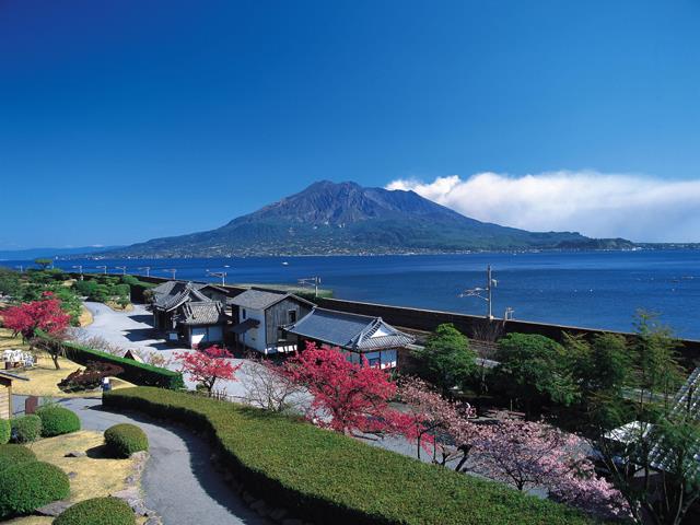 ■航空機+フェリー+高速船利用で行く周遊プラン≪初泊鹿児島＆世界遺産「屋久島」＆最終泊種子島≫宿泊先を自由に選べるチョイスプラン　4泊5日3