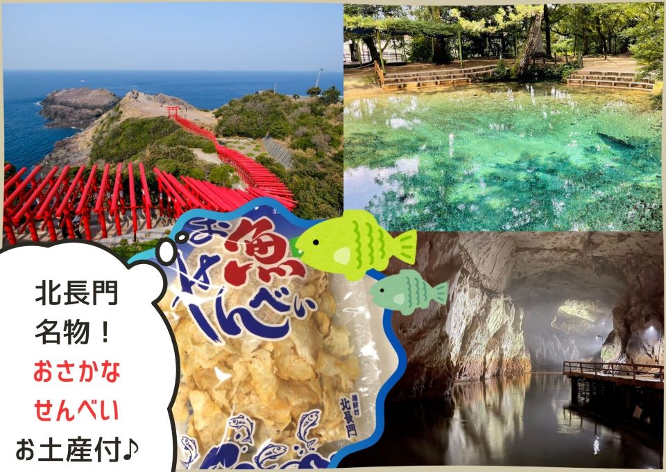 【バスハイク／博多発着】 添乗員同行 山口絶景めぐりの旅 海に映える赤い鳥居元乃隅神社 神秘のブルー別府弁天池 冬は暖かく夏は涼しい秋芳洞 ☆『お魚せんべい』お土産付き☆1