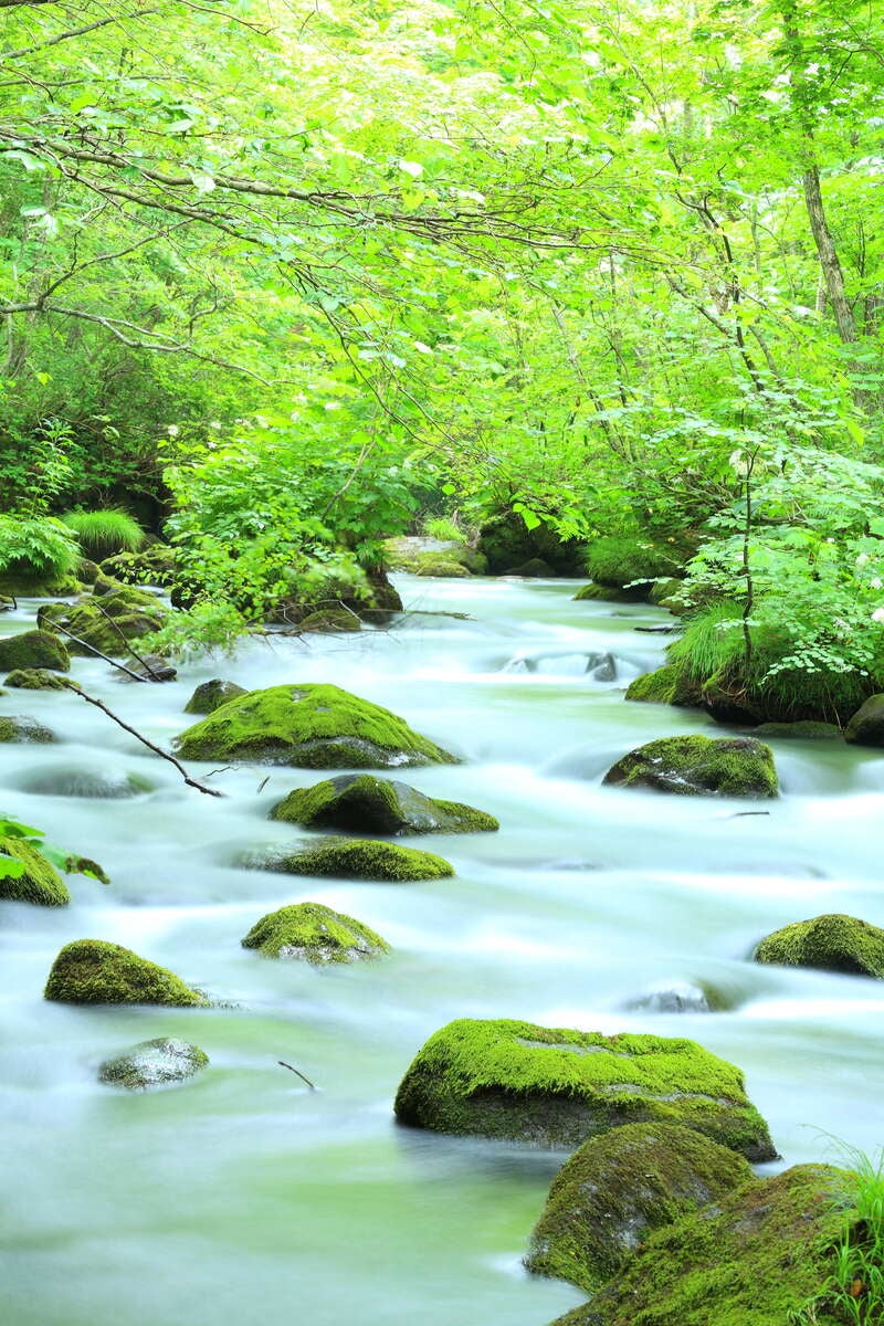 【鹿児島空港発】 往復とも東北まで飛行機利用！みちのくゴールデンルート4日間3
