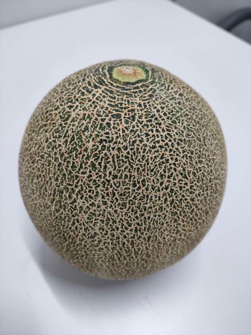 【兵庫エリア発】 母の日ミステリー　日帰り1