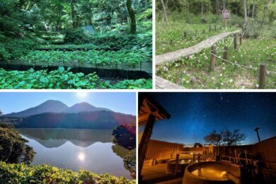 【広島駅新幹線口・アストラムライン古市駅発着】【15名限定募集！】小型バスで行く！ 清流せせらぐ神秘のわさび田と 癒しの森林セラピー ～自然に癒される特別な２日間～1