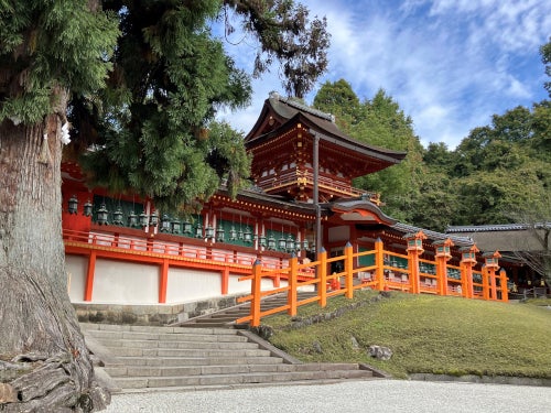 【名古屋発】青の絶景！100万株のネモフィラ祭りIn大阪＆春日大社の砂ずりの藤＆ホテルで奈良大和御膳2