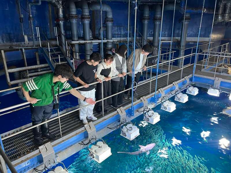 【東京駅発】 《KoDoMoわんぱクラブ》水族館の裏側に潜入！！アクアワールド大洗バックヤードツアーとサメやエイにもタッチしよう　日帰り1