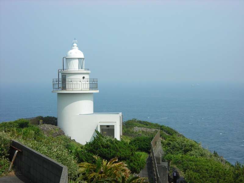【東京駅・品川駅・川崎駅・横浜駅・大船駅発】 踊り子号で行く！ 「南伊豆・下田散策」or「河津桜見学」＆伊豆ちょっぴり観光3