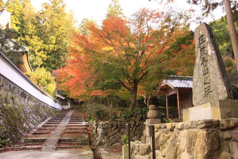 【和歌山県内発】 ～日本のへそ西脇　おもてなしキャンペーン～ 西脇ロイヤルホテルでランチと播州紅葉めぐり　日帰り2