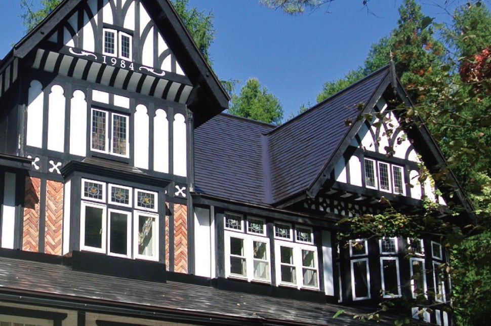 【三宮・大阪・京都】夜発　［Ｈａｋｕｂａ４７　ウインタースポーツパーク＆エイブル白馬五竜スキー場　リフト券付］リゾートホテル　レディダイアナ＆セントジョージ１泊（滞在中利用ＯＫのレンタル付）＜２０２５－２０２６　ＪＡＭＪＡＭスキー＆スノボ＞1