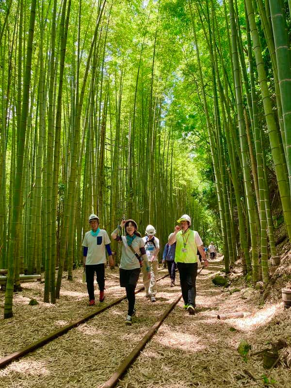 【岡山・倉敷発】 旧国鉄倉吉線・廃線跡ウォークと奥大山・木谷沢渓流散歩　日帰り1