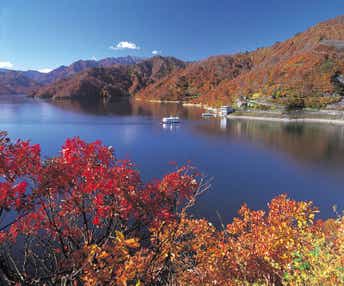【埼玉県内発】 魚沼市のお米を楽しむイベントUONUMARCHE(魚沼マルシェ) 紅葉の奥只見遊覧&豪農の館・目黒邸 日帰り