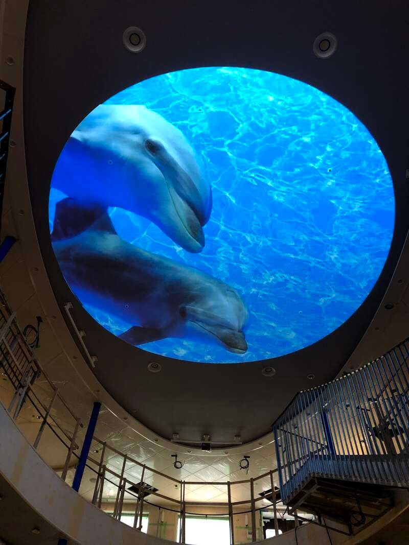 【大阪南港フェリーターミナル発】 フェリーさんふらわあで太平洋クルージングと あったか鹿児島、薩摩＆大隅2大半島巡りと名湯・指宿温泉4日間3