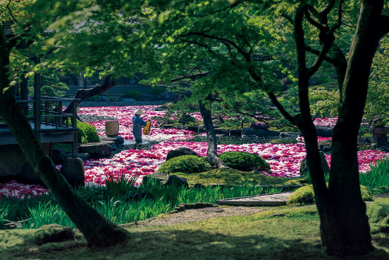【広島・古市発】 ３万輪が池に浮かぶ絶景！「由志園の池泉牡丹と足立美術館」彩りの美を巡る　日帰り2