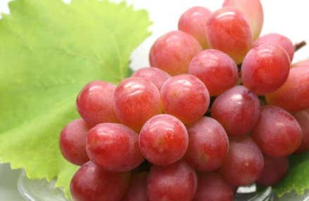 11/2・8・9催行決定🚌[新宿発]大人気の桔梗信玄餅詰め放題＆まだ誰も知らないおいしさ「サンシャインレッド」をあなただけに！シャインマスカット狩り食べ放題とハイジ村バイキング、昇仙峡の渓谷美も楽しむぜいたく欲張り日帰りバスツアー