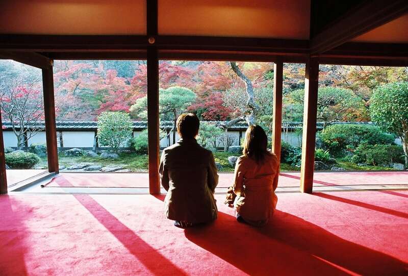 【大阪・阪神エリア発】 こんな旅してみたかった！　紅葉ミステリー　日帰り1