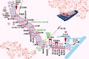 【圧巻の約８００本の目黒川桜回廊🌸を約７０分のクルーズ！/天王洲発】船に覆いかぶさるような”目黒川桜🌸のトンネル”をオープン船から観賞！約８００本の目黒川桜回廊お花見クルーズ3