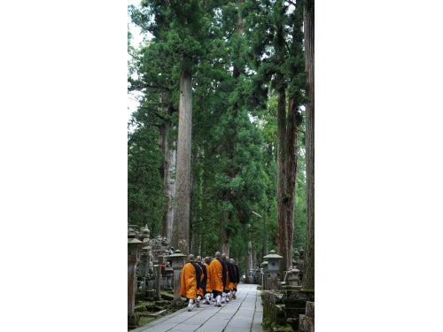【名古屋発】高野山専門ガイドの案内付き！世界遺産　高野山奥の院めぐり2
