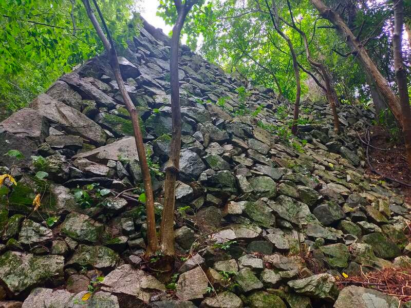 【敦賀駅・福井駅発】《日本100名城めぐり》 近畿編 その２ ～京都・奈良・滋賀県完全制覇～ （３日間）3